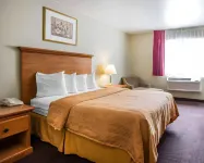 이코노 로지 트레이시