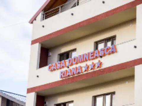 Casa Domneasca Riana Hotels in Pitesti