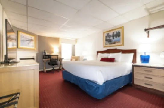 파이어사이드 인 앤드 스위트