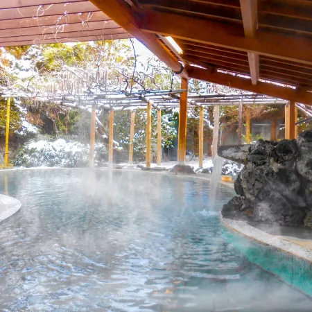 Oedo Onsen Monogatari Shinshu Kakeyu
