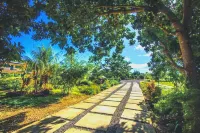 Alta Bohol Resort powered by Cocotel