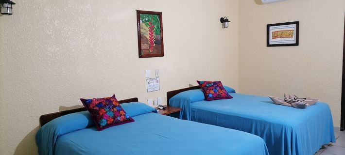 Hotel - Museo Xibalba Hotels in Palenque
