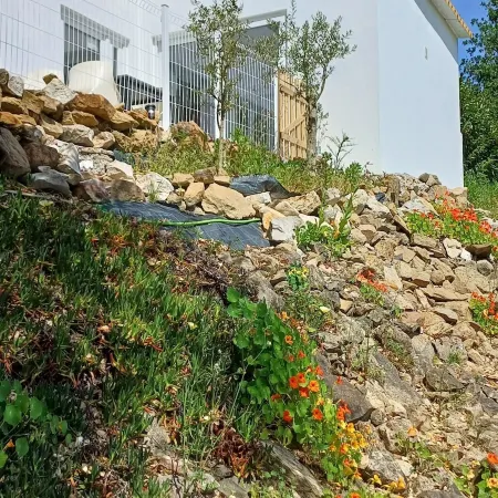 Quinta da pera rocha