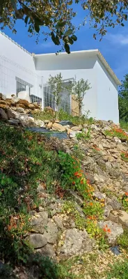 Quinta da pera rocha
