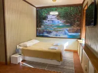 Legend โรงแรมในวียบอร์ก