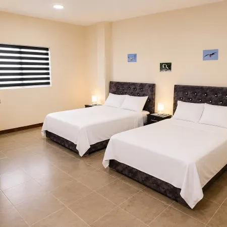 SUITE CORAL