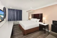 維斯塔旅館 - Wi-Fi