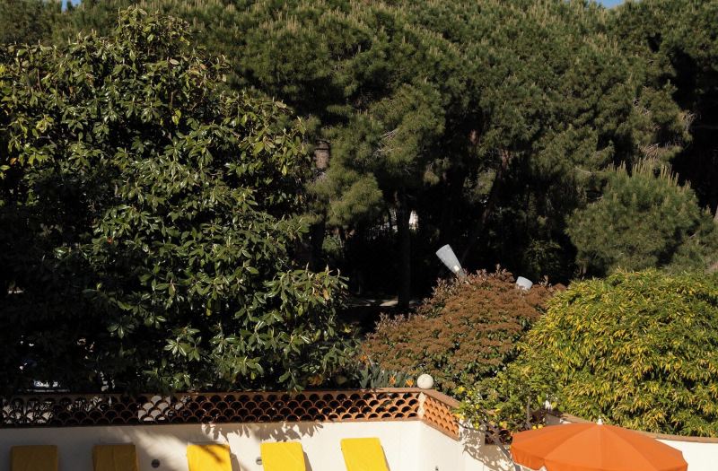 Hôtel Juana photo 4