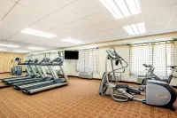 La Quinta Inn & Suites by Wyndham Danbury - Pet friendly