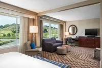 Sheraton Sonoma Wine Country Petaluma - Jacuzzi