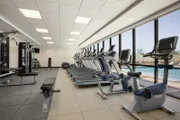Embassy Suites by Hilton McAllen Convention Center - Gym