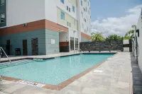 Hilton Garden Inn Tampa Suncoast Parkway - Pool