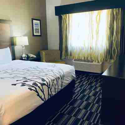 La Quinta Inn by Wyndham Steamboat Springs Rooms