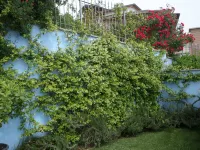 La Casa Blu Apartment in Villa with Exclusive Use of the New Pool Garden, Unesco