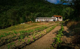 Agriturismo Cascina del Vai