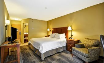 Hampton Inn Memphis-Poplar