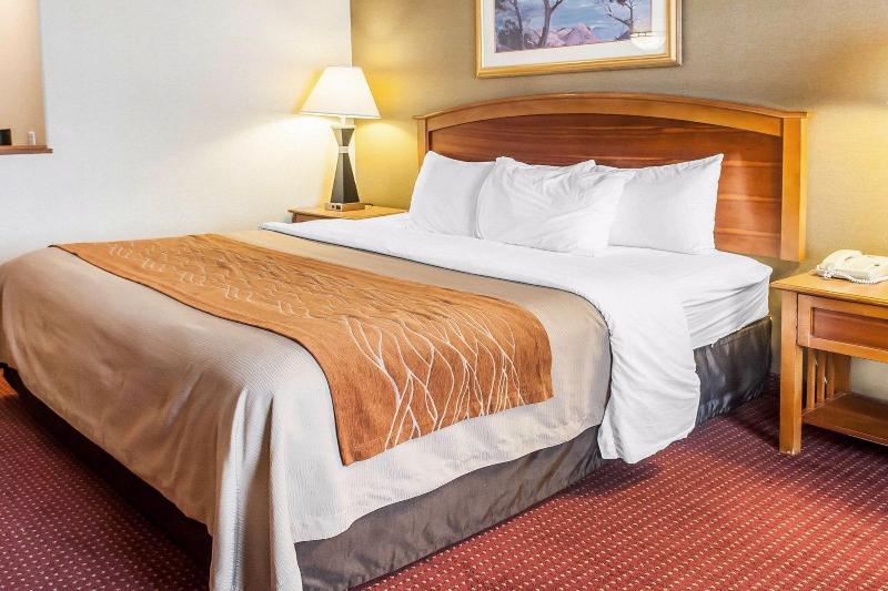 Comfort Inn & Suites I-25 Near Spaceport America