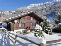 Chalet am Schärm - Hytter