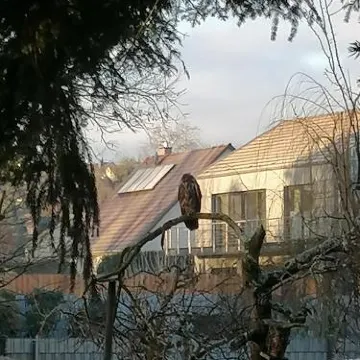 齊默祖前葡萄酒屋民宿