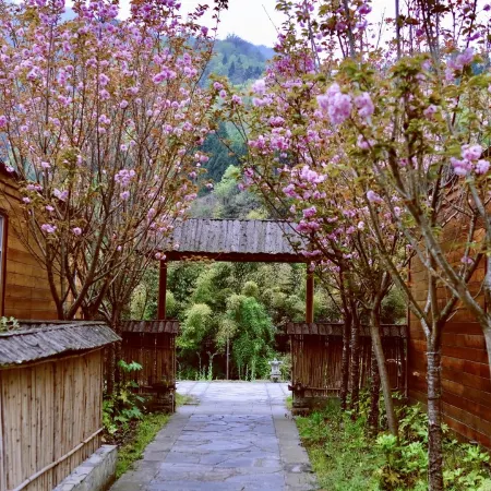 Pingwu Zen Tea Qinggu Homestay