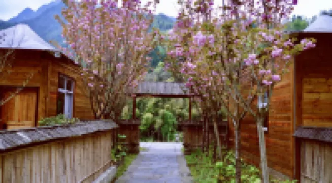 Pingwu Zen Tea Qinggu Homestay