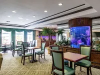 Quality Inn & Suites Hotels in Robstown