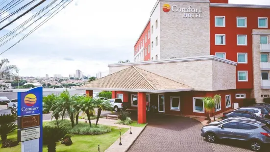 Comfort Hotel Araraquara