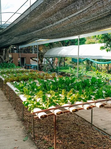 รูปภาพของซิลเวอร์การ์เด้น รีสอร์ท