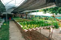 Silver Garden Resort Hotels in 