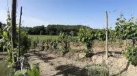 Agriturismo Casa Alla Madonna Hôtels à : Certaldo