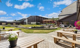 Ski Lodge Gautefall - Housity