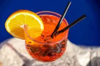 Hotel Villa Sonia - bar