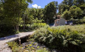 Country House by the River - National Park