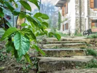 Agriturismo Azienda Agricola Bortolotti Hotel a Bubbio
