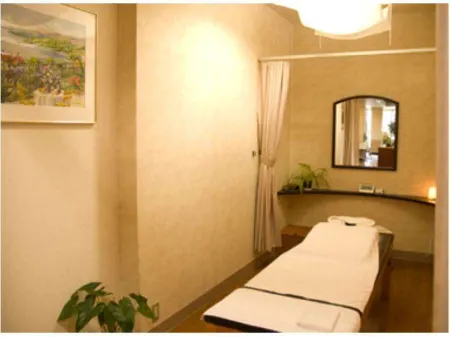 Hotel Yes Ekimaekan　Nagahama Отели в г. Нагахама