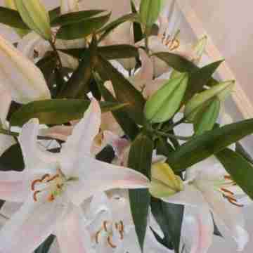 Turmhotel Weserblick Bremen Rooms