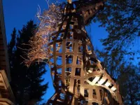 The Carolina Bed & Breakfast Hotels in Helena