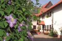Pension Gästehaus Kachelofa Hotels in Oberderdingen