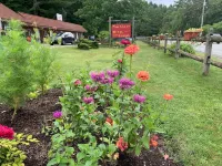 Pine Crest Motel & Cabins Hotels in der Nähe von Mount Pisgah