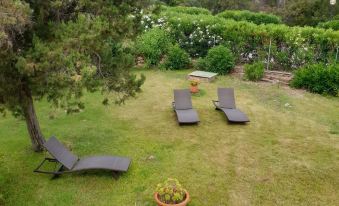 a lush green garden with a variety of trees and plants , as well as several lounge chairs placed on the lawn at Villa Rosè