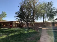 Sami Atacama