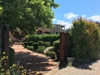 Green Park Hotel Hotels near Gregoland