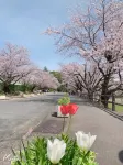 Alpie A Room 102 Free Parking and WiFi 5 Minute Hotels in Kumamoto