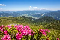 Alpenwelt