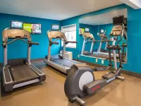 Comfort Inn - Dedham-Boston MetroWest Hotels in Dedham