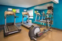 Comfort Inn - Dedham-Boston MetroWest