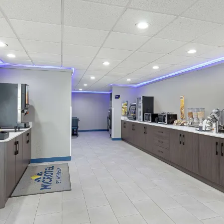 Microtel Inn & Suites by Wyndham Manchester