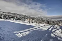 Wintergreen Resort Condo Walk to Ski Lift! - Swimmingpools