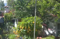 Riverside Homestay, Chamba (HP) Hotel a Kuran