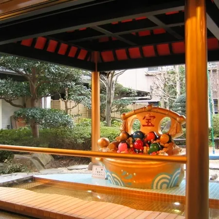 Gero Onsen Hanarenoyado Tsukinoakari